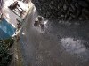 水たまり