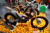 2010Scorpa