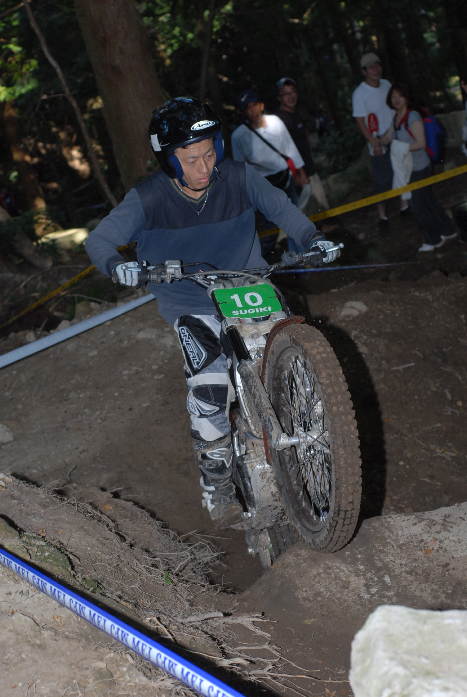 10中国IB9位杉木