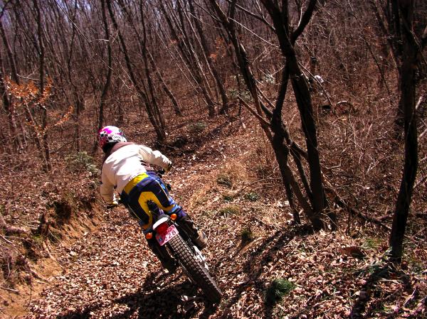 0903小鹿野の山その2