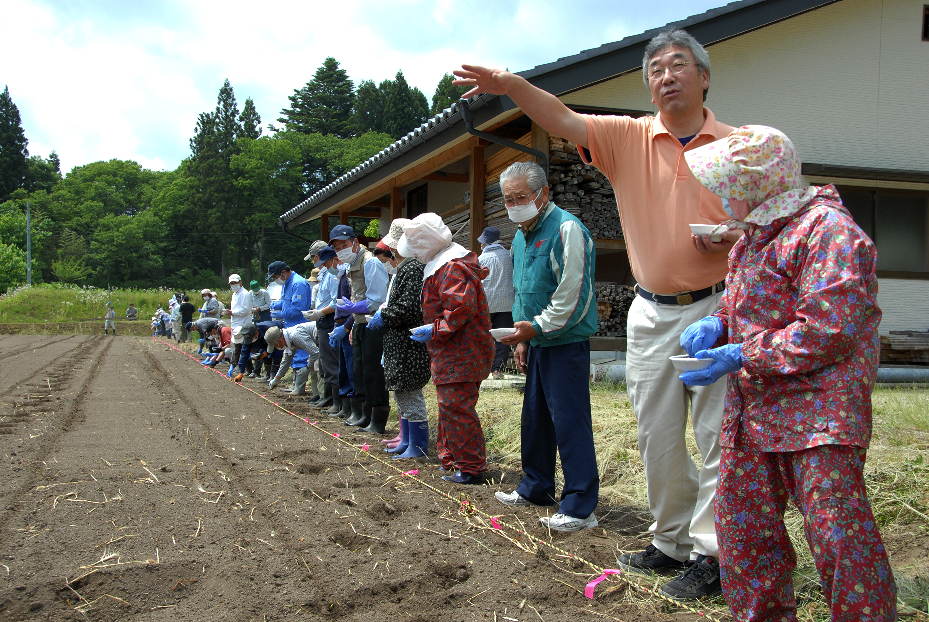 2011ひまわりを植える村長と村人