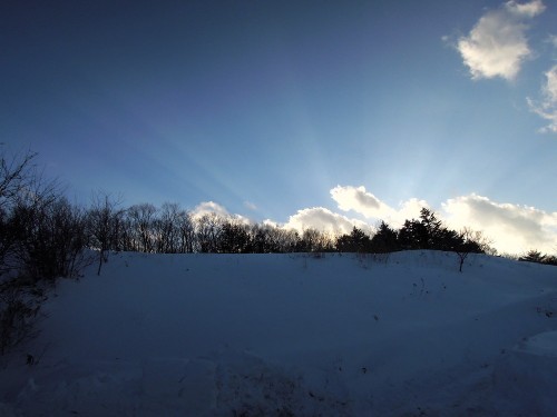 1404大雪の日の庭