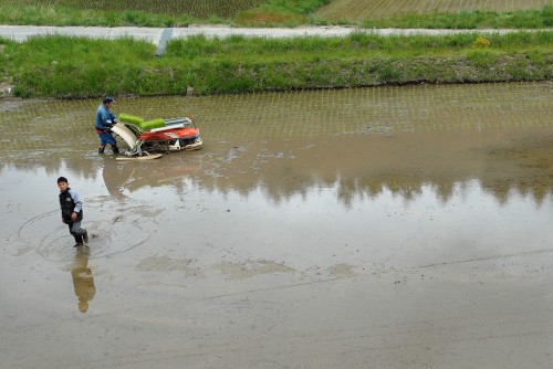 1409すけさんの田植え