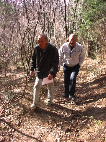 椎茸山の散歩