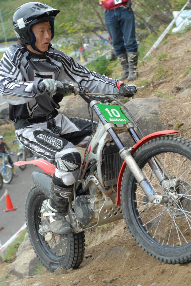 2010R6中部の杉木