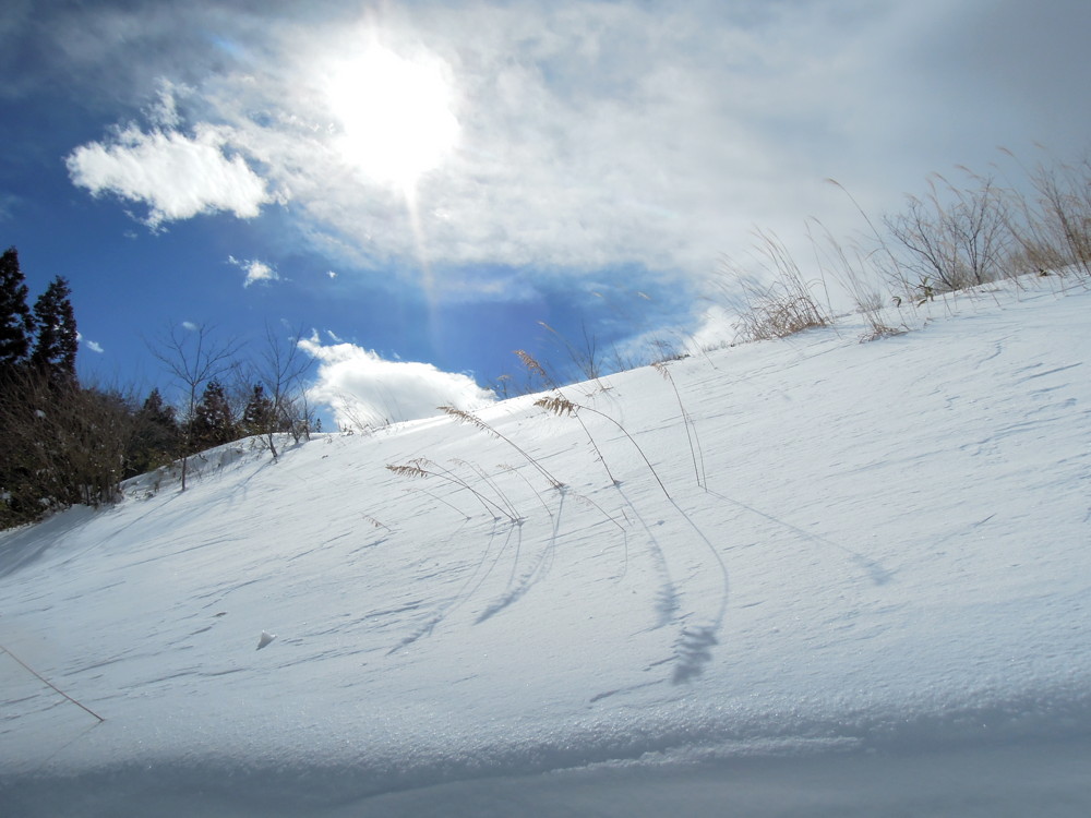 1404大雪の日の庭