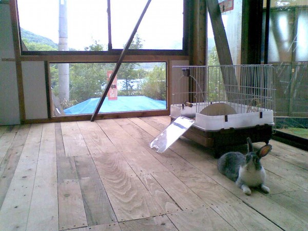 1006ウサギ小屋新築