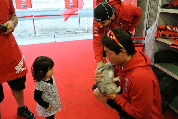 1206もてぎのすみれ