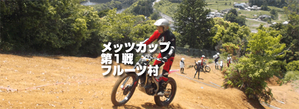 2016メッツ第1戦