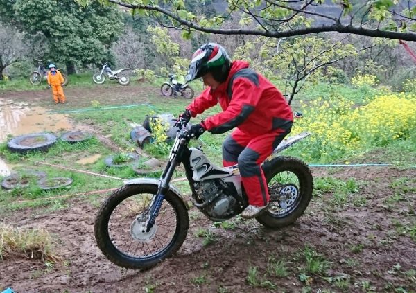 2017メッツ1菜の花