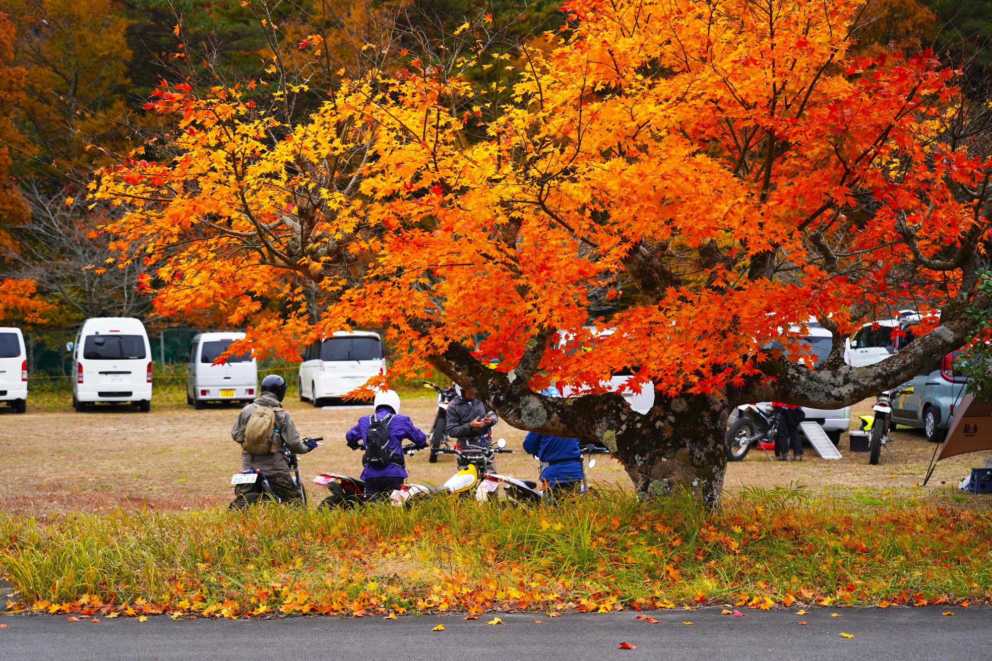 2025第8回高田島ツーリングトライアル | トライアル自然山通信
